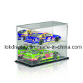 2 Tier Acrylic Display Box, Plastic Box, Cars Storage Box